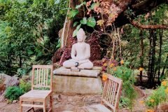 IMG_20211223_130853-scaled