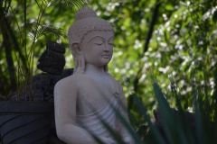 tantra-transcendence-march-2018-34