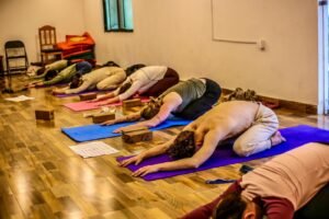 Himalayan yoga training
